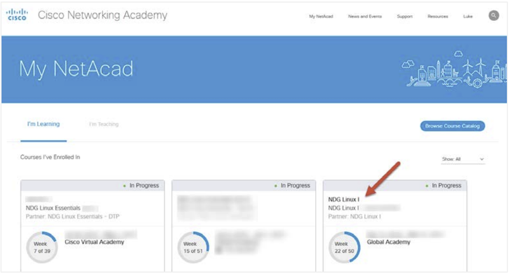 Screenshot 2024-10-13 at 10.17.57 PM.png